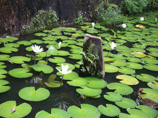 Mowbrey House Hotel Kandy Ngoại thất bức ảnh